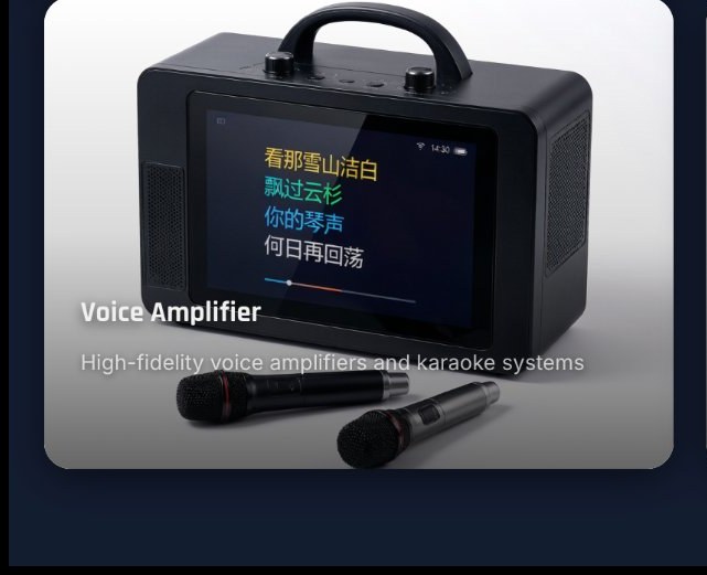 Voice Amplifiers OEM/ODM Manufacturing